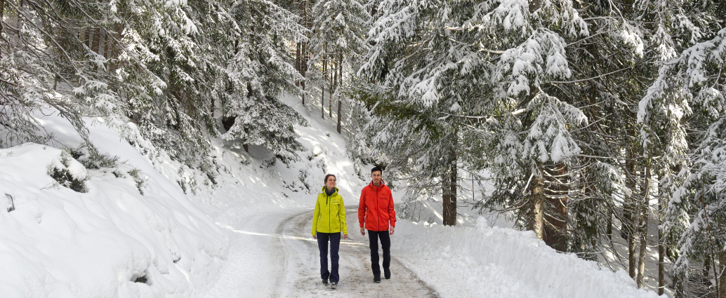Winterwandern Jacke wasserdicht atmungsaktiv Maier Sports Liland P3
