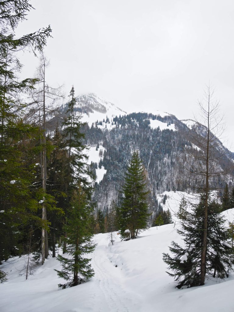 Sneeuwschoenwandelen Fieberbrunn Kitzbüheler Alpen